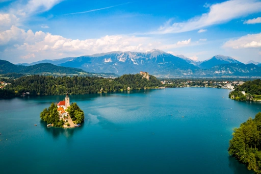 Bled környékén élnek medvék